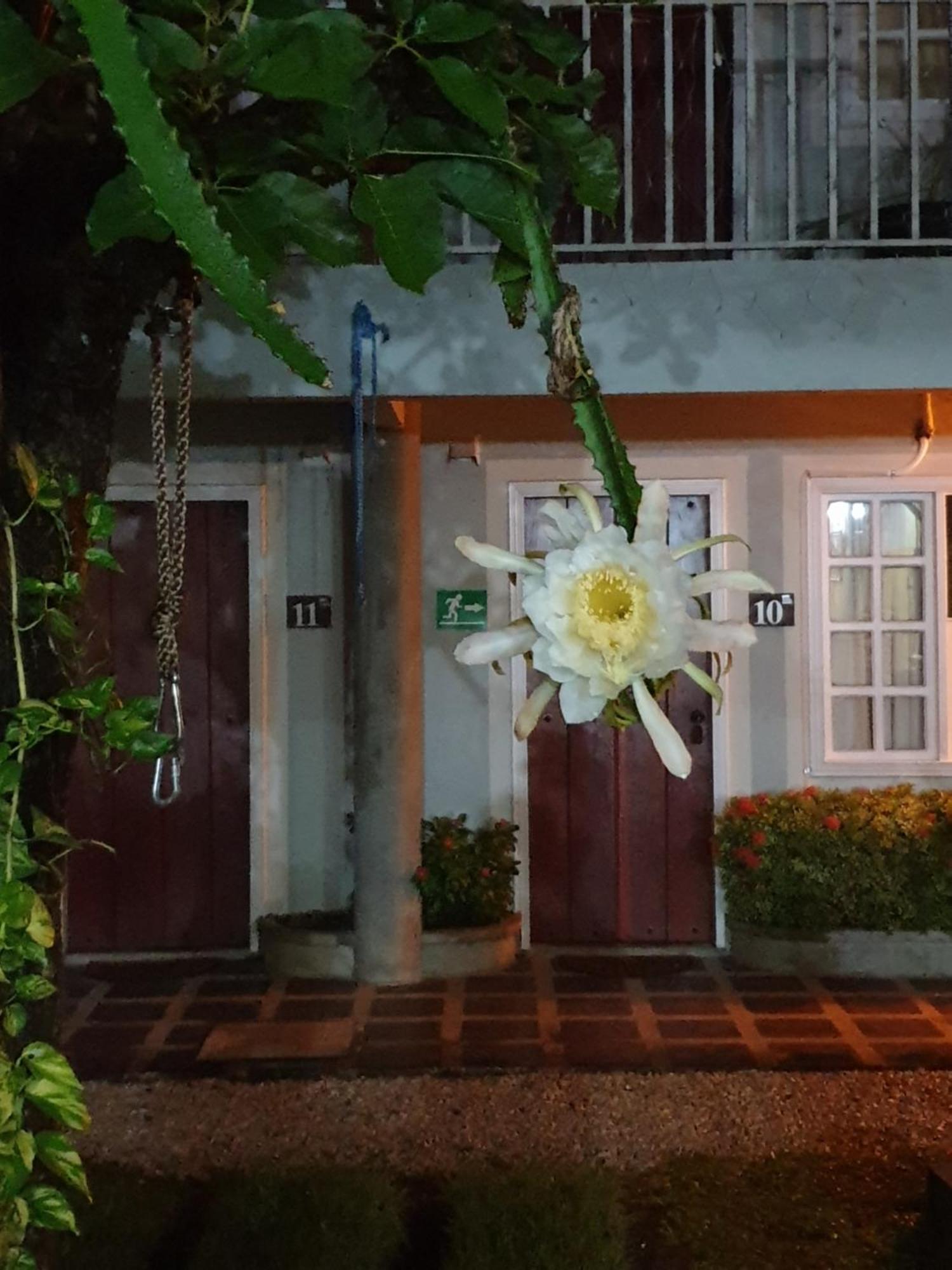 Hotel ليبيريا المظهر الخارجي الصورة